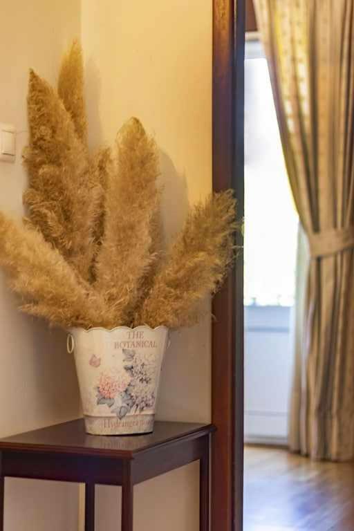Quintinha De Sabadim - 500 Metros Da Ecovia De Sistelo Villa Arcos de Valdevez Eksteriør billede